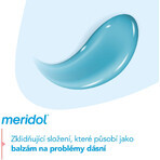 Pastă de dinți Meridol Gum Protection & Gentle White 3 x 75 ml