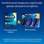 Niquitin Mini 4mg 60 Tabletten