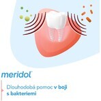 Meridol Complete Care pastă de dinți și gingii sensibile 75 ml