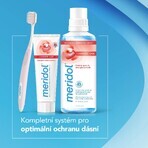 Meridol Complete Care pastă de dinți și gingii sensibile 75 ml