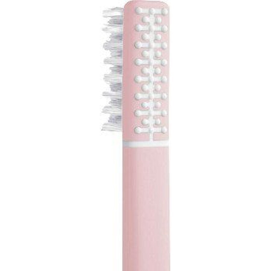 Brosse à dents en plumes avec échinacée + support, rose tendre