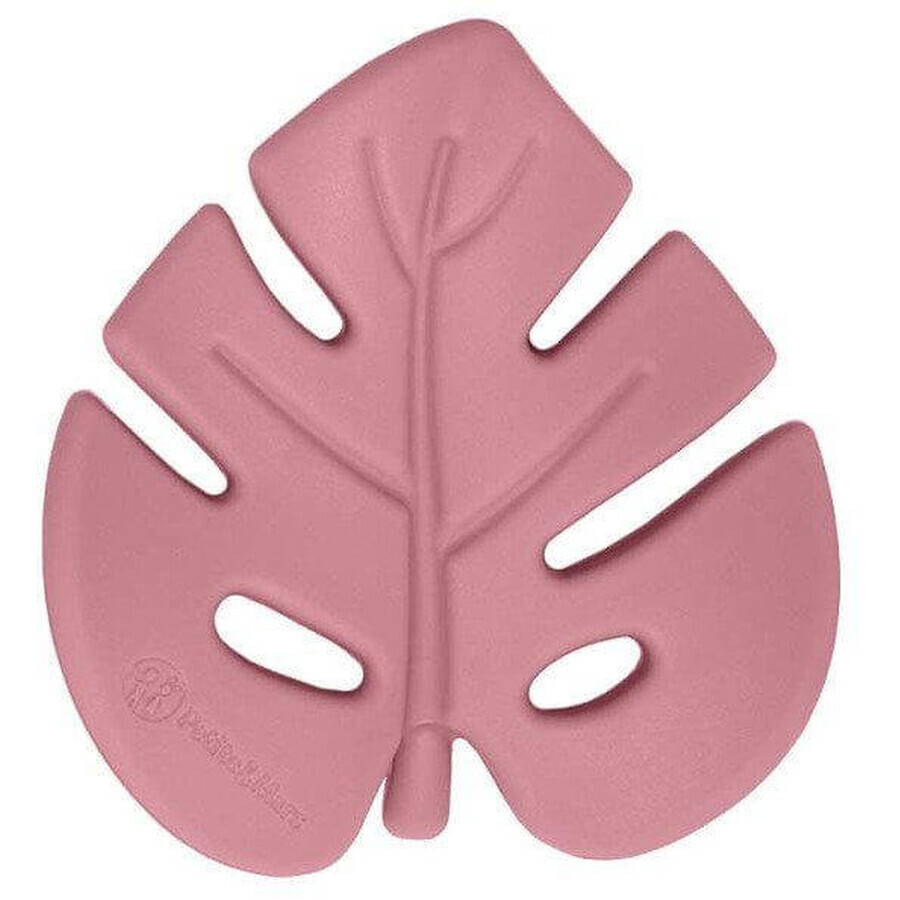 Petite&Mars Silicon Teether Dusty Rose 0m+