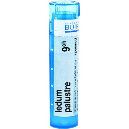 Boiron Ledum Palustre CH9 gránulo 4 g