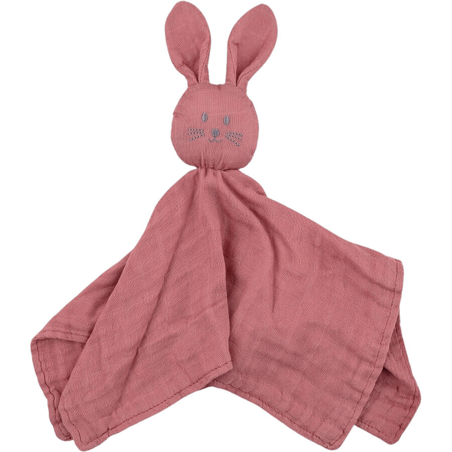 Petite&Mars Bamboo Muslin Hugo Dusty Rose 0m+