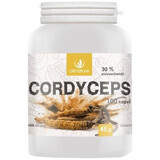 Allnature Cordyceps 100 capsule