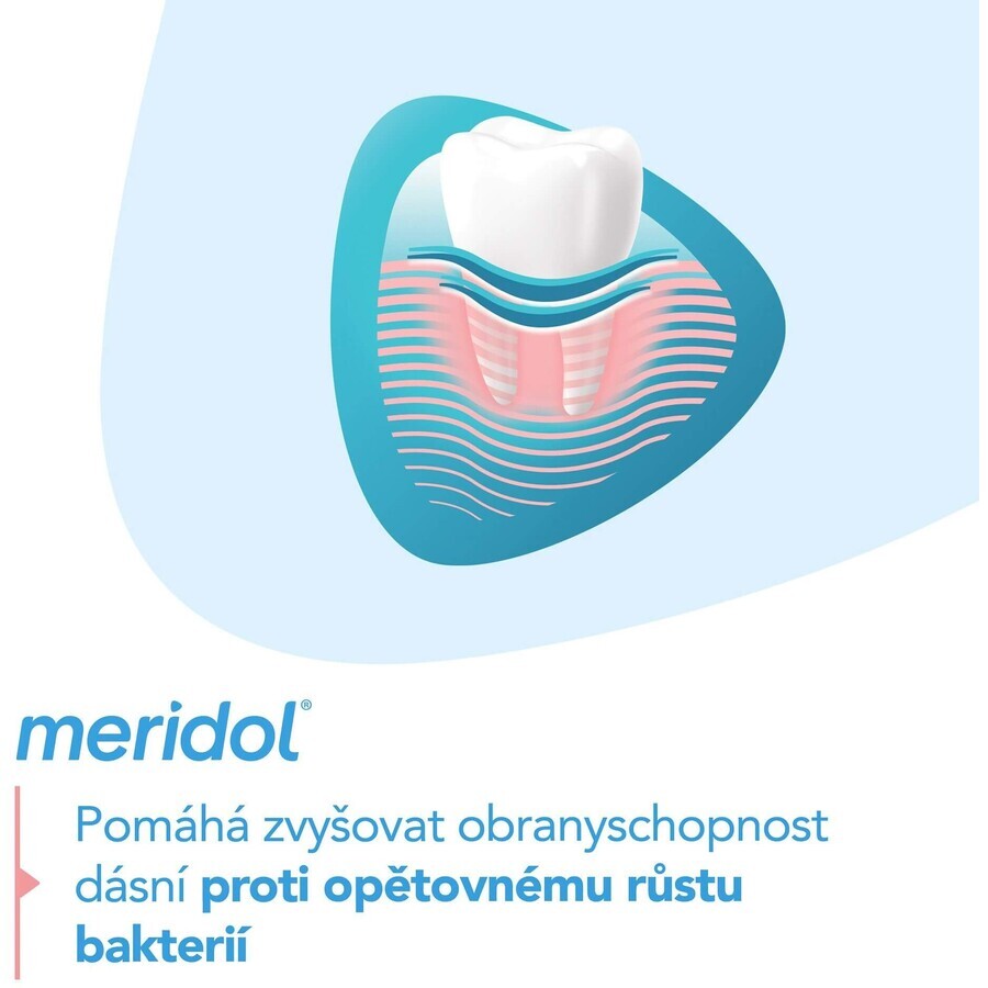 Meridol Gum Protection pastă de dinți pentru protecția gingiilor 2 x 75 ml