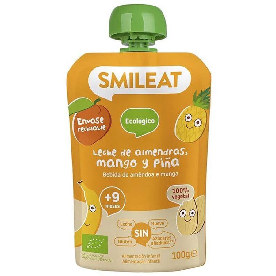 Smileat Organic almond, apple, pineapple, mango and banana milk pouch 9M+ 100 g