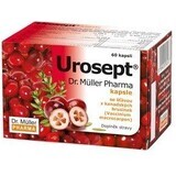 Urosept Kruiden urologische thee 20 x 2 g