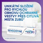 Sensodyne Pastă de dinți pentru dinți sensibili Rapid 3 x 75 ml