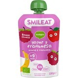 Smileat Sacchetto di yogurt biologico con lamponi 100 g