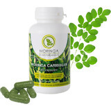 Moringa caribbean Standard 60 capsule