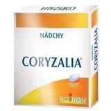 Boiron Coryzalia 40 comprimés