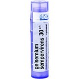 Boiron Gelsemium Sempervirens CH30 granule 4 g