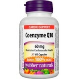 Webber Naturals Coenzima Q10 60 mg 60 cápsulas