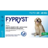 Fypryst Psy 20-40 kg Soluție pentru picurare pe piele pentru câini 1 buc