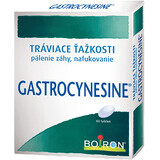 Boiron Gastrocynesine 60 comprimés