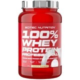 Scitec Nutrition 100% Whey Protein Professional, vanilie 920 g