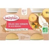 Babybio gustare cu fructe amestec de fructe 2 x 130 g