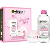 Garnier Rose pachet cadou 2 buc