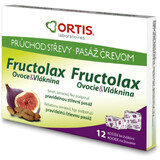 Fructolax Cubetti di frutta e fibre 24 pz.