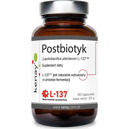 Postbioticum Lactobacillus plantarum L-137, 60 capsules Kenay