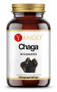 Chaga extract 10% polizaharide (90 capsule) YANGO