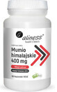 Himalaya mumie 400 mg 90 vegeta caps Aliness