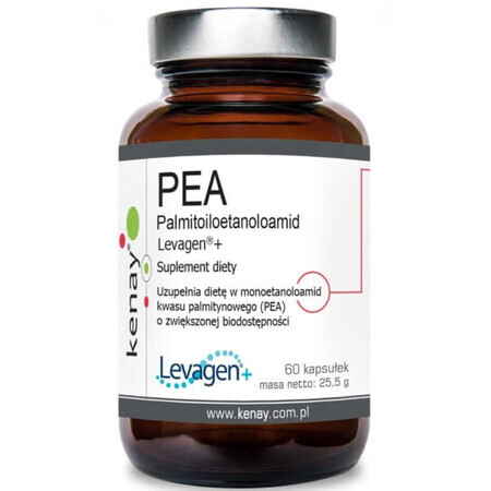 PEA Palmitoyl ethanolamide Levagen 60 capsule Kenay