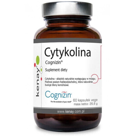 Cyticoline Cognizin 60 gélules végétales Kenay