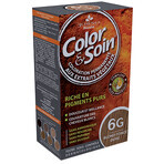 Colour & Soin coloration des cheveux (blond foncé doré) 6G 135ml