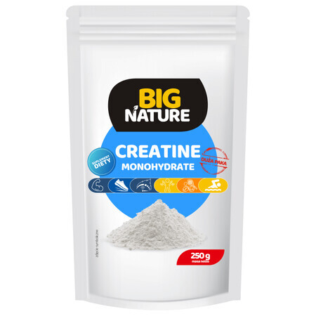 Creatină monohidrat 250 g Big Nature