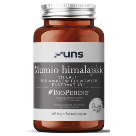 Himalaya mumie 60 capsule UNS