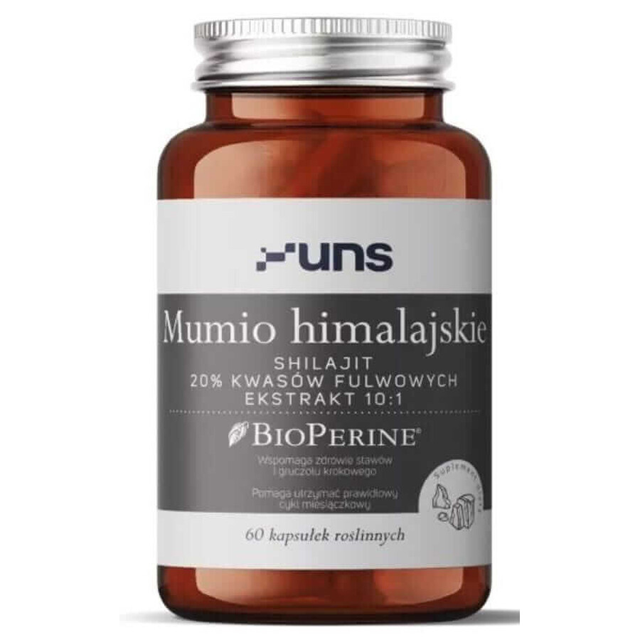 Himalaya mumie 60 capsule UNS