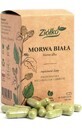 Mulberry alb - Correct metabolismul zahărului - 60 capsule pe bază de plante