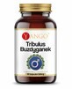 Tribulus Mace 540mg 90 capsule, Yango