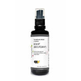 Turmeric BCM-95 BIOCURCUMIN - extract fermentat - spray 50 ml, KenayAG