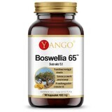 Boswellia 65 (65% acidi boswellici) 90 capsule, Yango