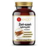 Extract de ginseng siberian 10:1 - 90 capsule YANGO