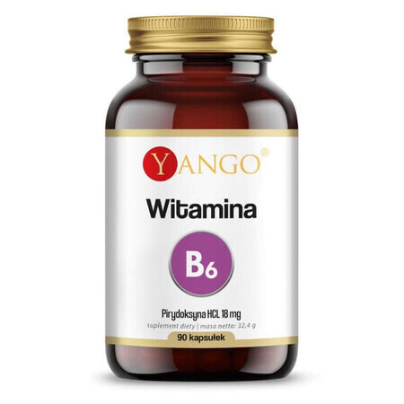 Vitamine B6 (pyridoxine HCL) 90 capsules Yango