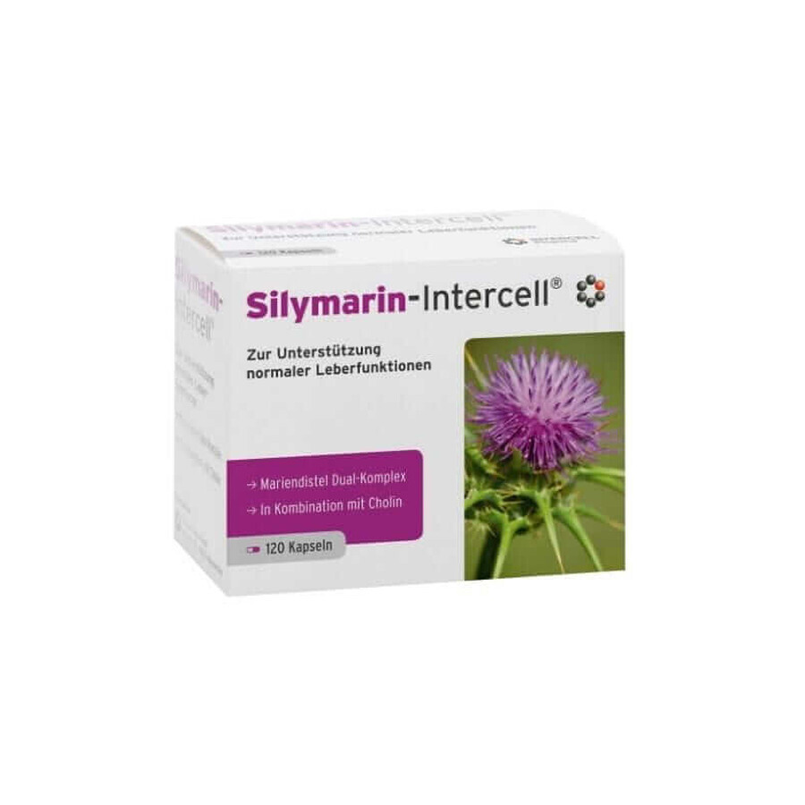 Silymarin-Intercell (suport hepatic) 120 capsule, Intercell