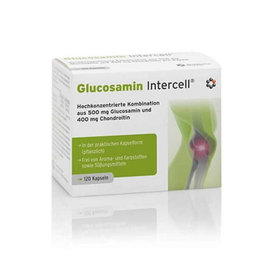 Glucosamine-Intercell 120 capsules Intercell