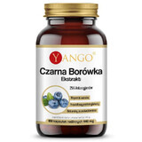 Blueberry 100 capsule extract YANGO