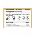 Estratto di ginkgo biloba 24% (100 mg 90 capsule) Yango