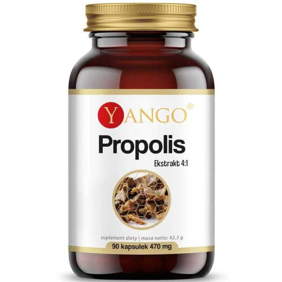 Propolis extract 4:1 (90 capsules) Yango