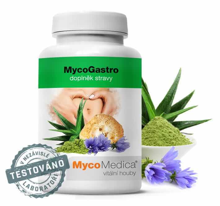 MycoGastro 90g MycoMedica