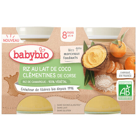 Organic coconut, rice and clemetine cream, +8 months, 2x130 g, Babybio