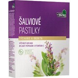 NaturProdukt Pastillas de Cebolla 1×20 pcs, suplemento nutricional