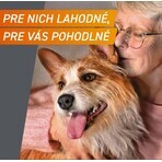 FRONTPRO® comprimate masticabile antiparazitare pentru câini (4-10 kg) 1×3 tbl, comprimate antiparazitare