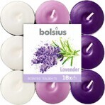 Bolsius Thee 18st Lavendel driekleur, geurkaarsen 1×18 st, geurkaarsen