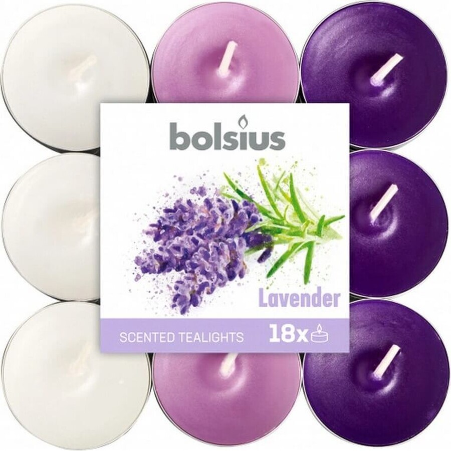 Bolsius Thee 18st Lavendel driekleur, geurkaarsen 1×18 st, geurkaarsen